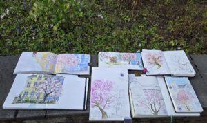 Magnolienblüte in Hilden