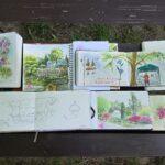 Urban Sketching Botanischer Garten