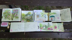 Urban Sketching Botanischer Garten