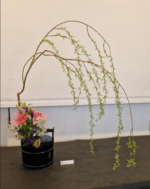 Ikebana Schlehbusch